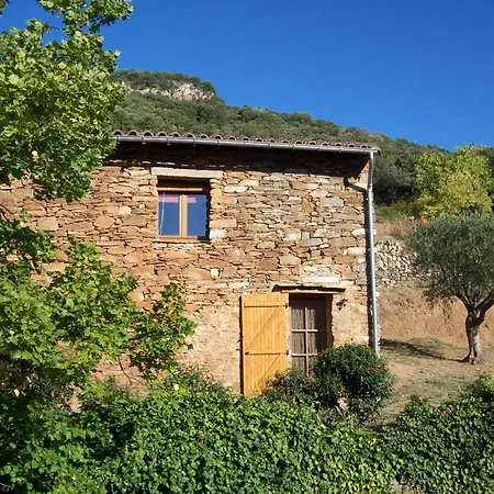 Des Orangers Holiday home